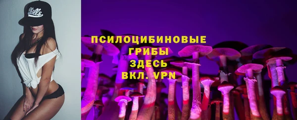 МДПВ Кукмор