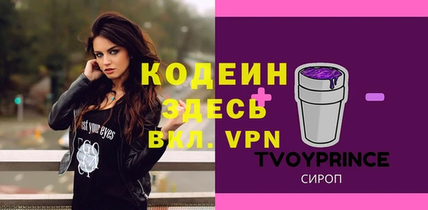 МДПВ Кукмор