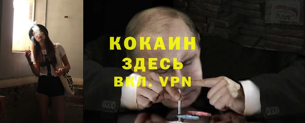 спайс Кулебаки